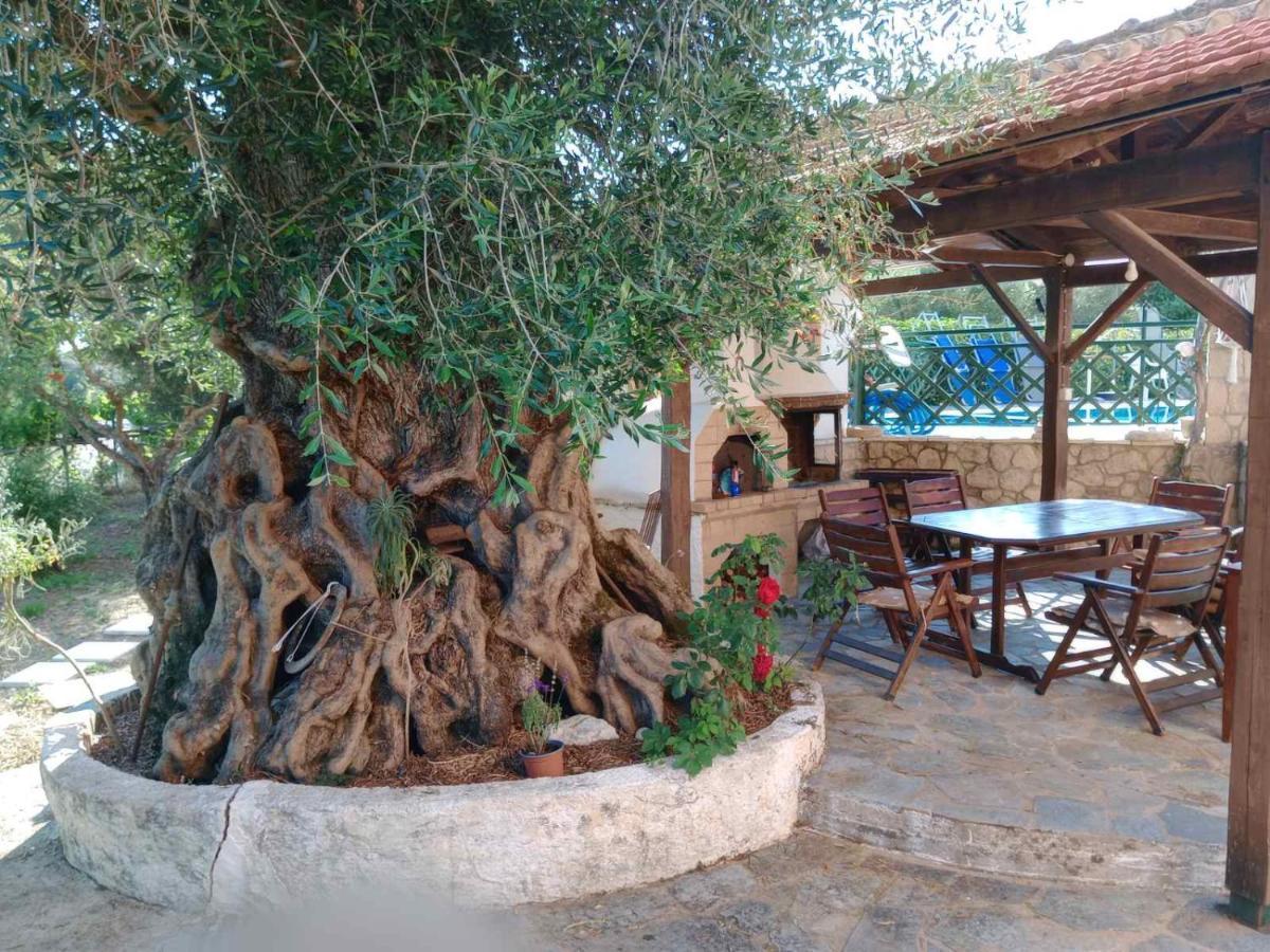Pool Villa Grigoris Aspiotades Exterior photo